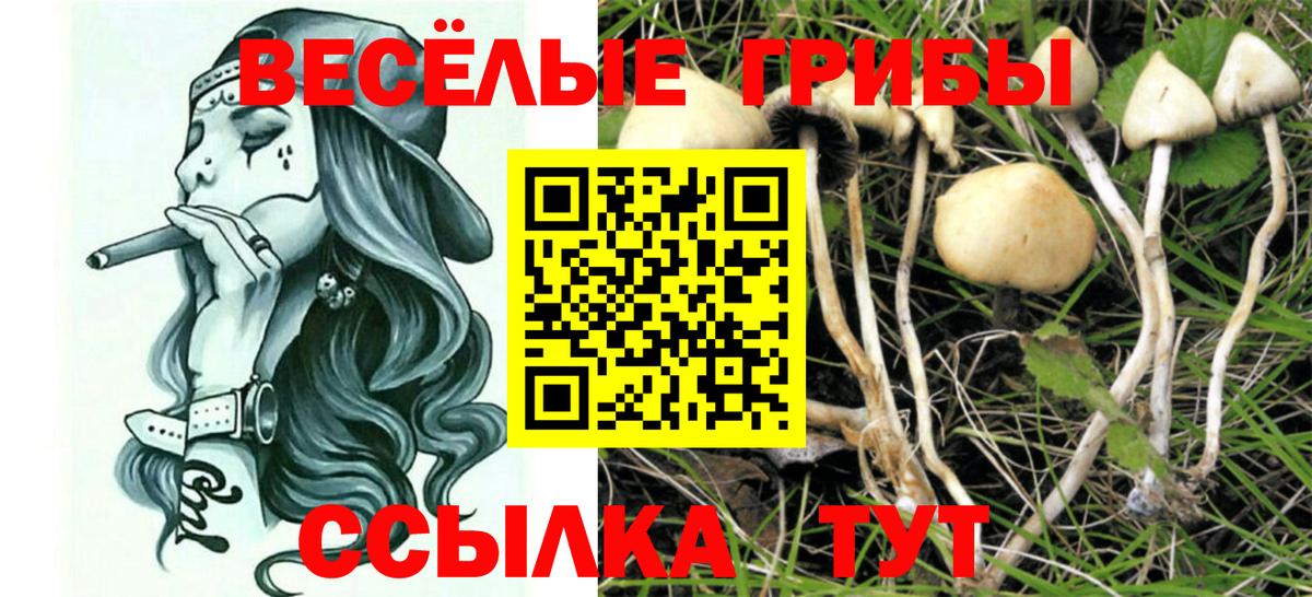 Галлюциногенные грибы MAGIC MUSHROOMS  Псилоцибиновые грибы ЛСД  Псков  Вход с VPN 